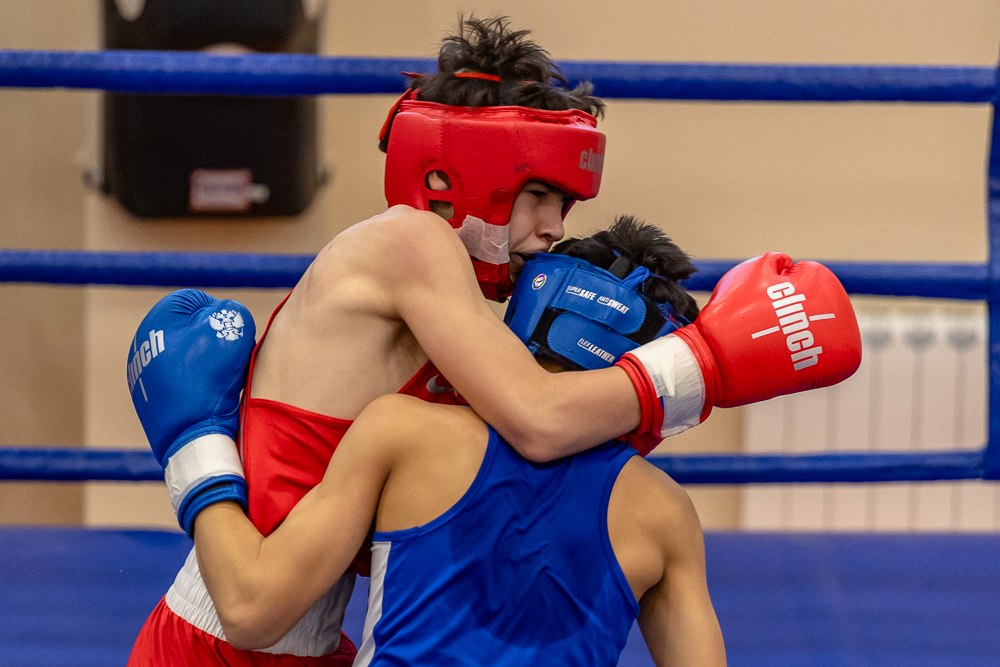 Соревнования по боксу памяти тренеров Одинцовского округа