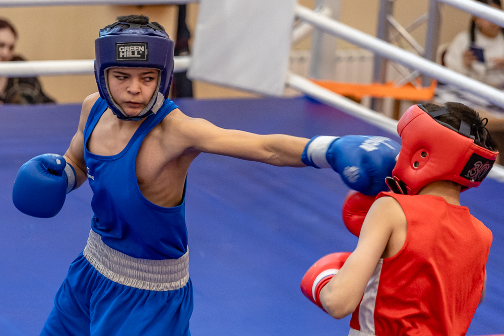 Соревнования по боксу памяти тренеров Одинцовского округа