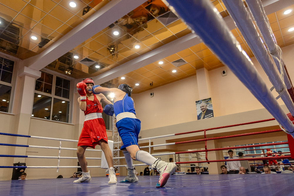 Соревнования по боксу памяти тренеров Одинцовского округа