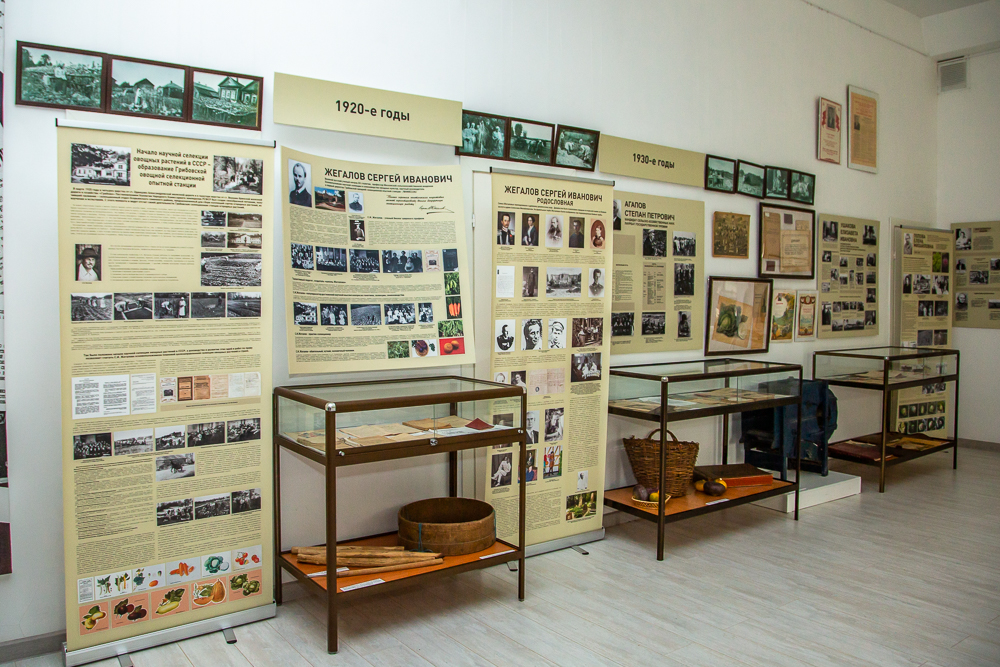 Федеральный научный центр овощеводства отмечает 105-летие