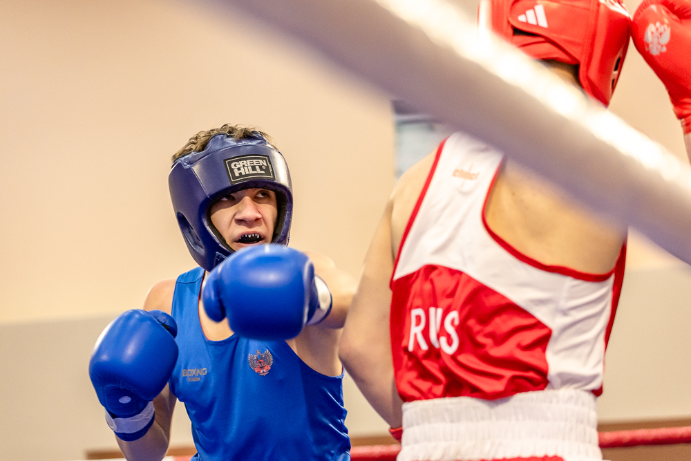 Соревнования по боксу памяти тренеров Одинцовского округа