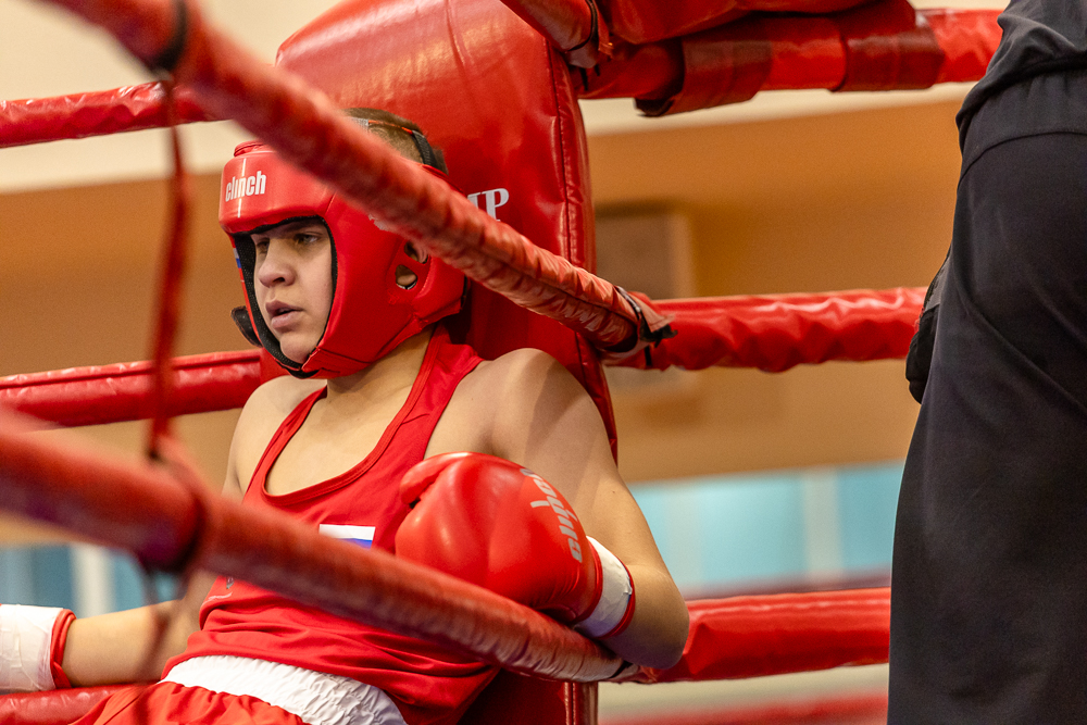 Соревнования по боксу памяти тренеров Одинцовского округа