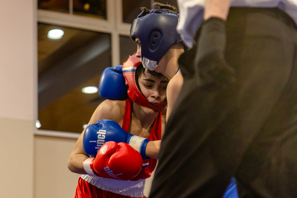 Соревнования по боксу памяти тренеров Одинцовского округа