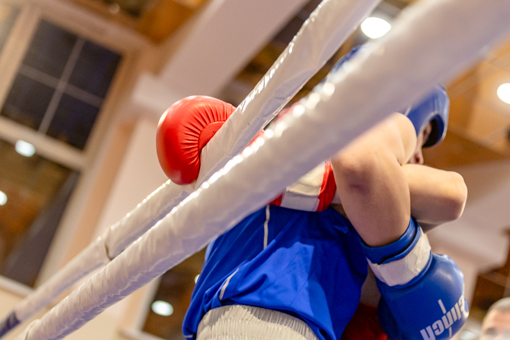 Соревнования по боксу памяти тренеров Одинцовского округа