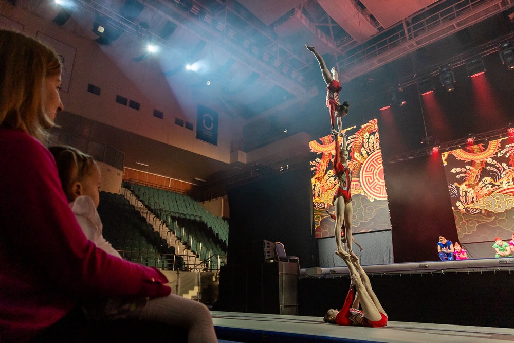 Ёлки главы Одинцовского округа