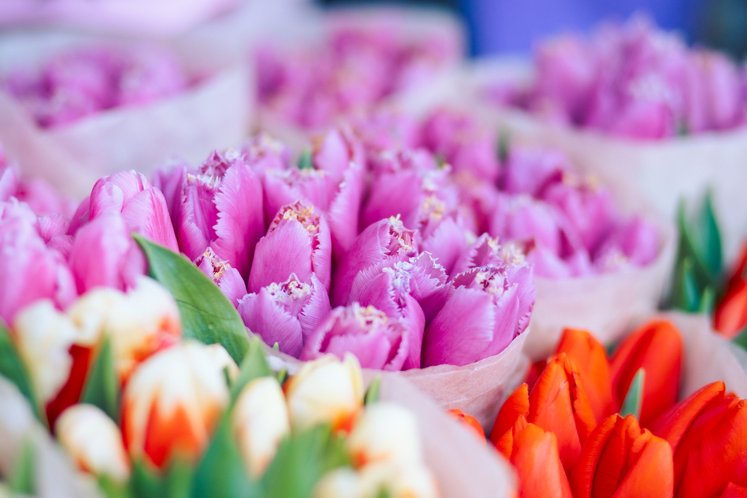 Женское счастье – рецепт без точных пропорций