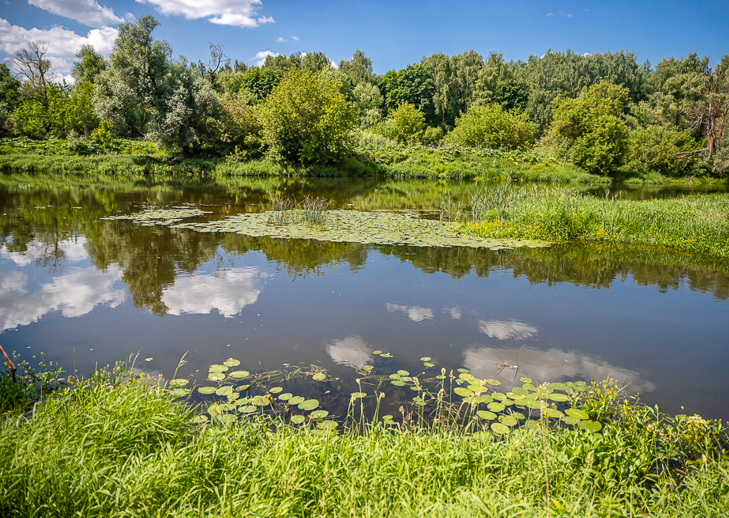 В конкурсе экологических проектов примут участие представители Одинцовского округа