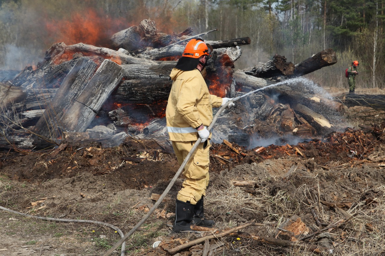 Одинцовский округ в зоне риска: пал травы ведёт к масштабным пожарам
