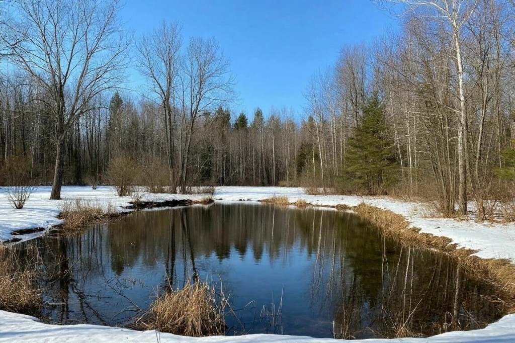 Безымянное озеро в Одинцовском округе вернули в общественное пользование после судебного разбирательства