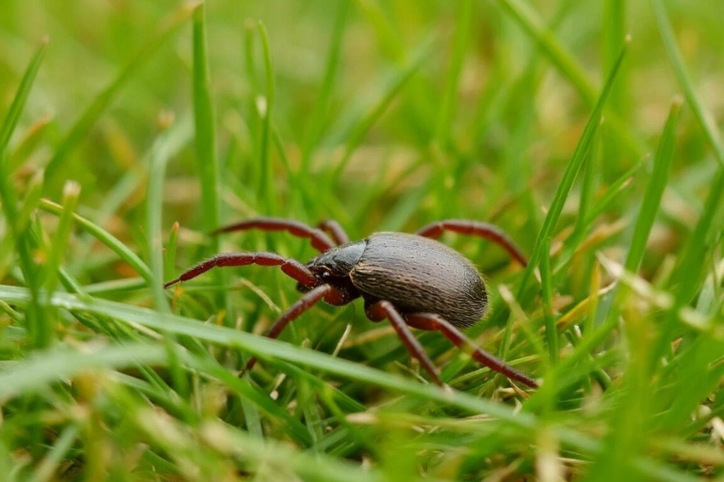 Сводка ЕДДС Одинцовского округа с 6 по 12 апреля