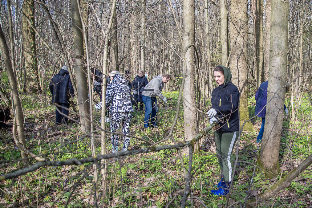 В Одинцовском округе в рамках месяца чистоты и благоустройства 18 апреля субботники пройдут на 38 площадках
