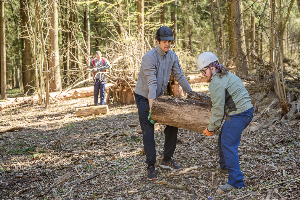 Выходные с пользой для всех