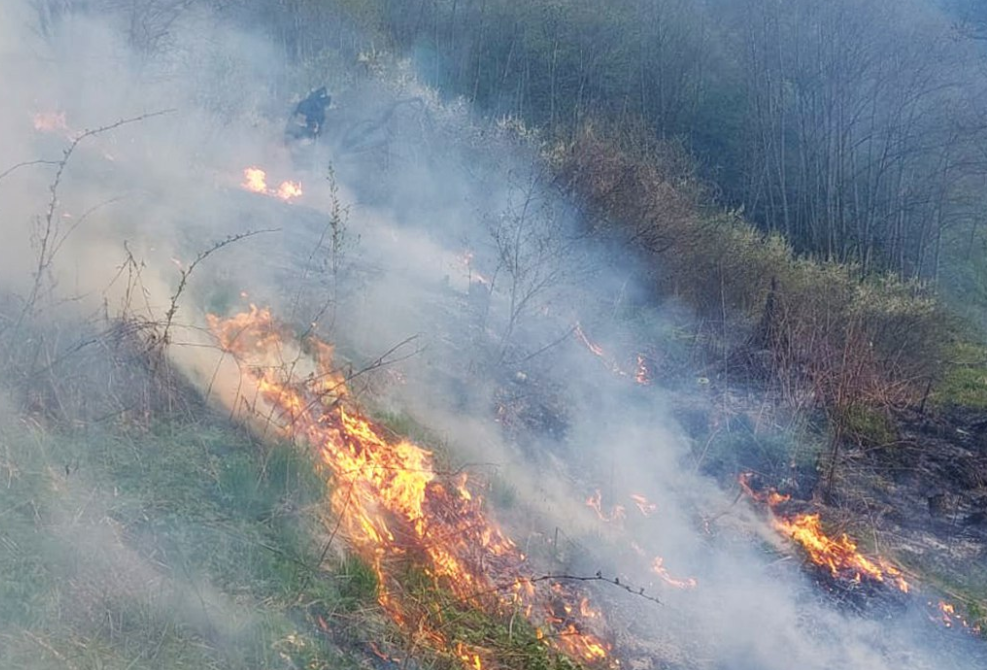 Сводка ЕДДС Одинцовского округа с 23 по 29 марта