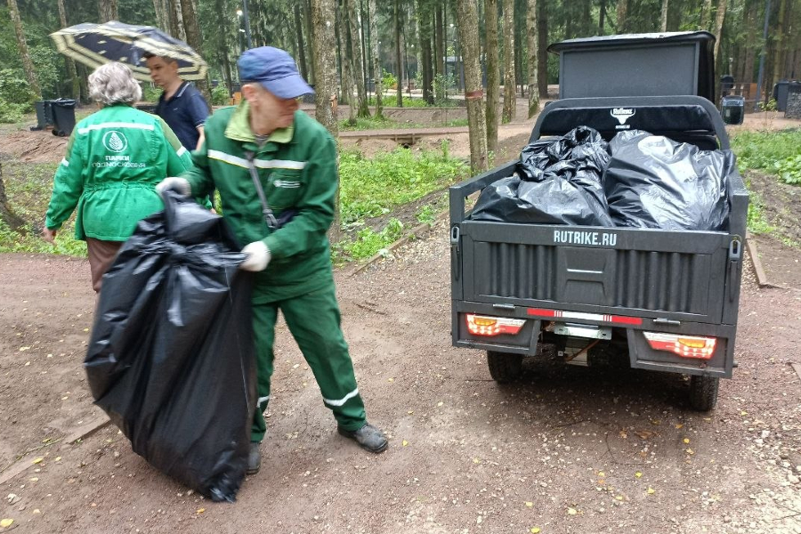 Одинцовские городские лесопарки: изнанка порядка