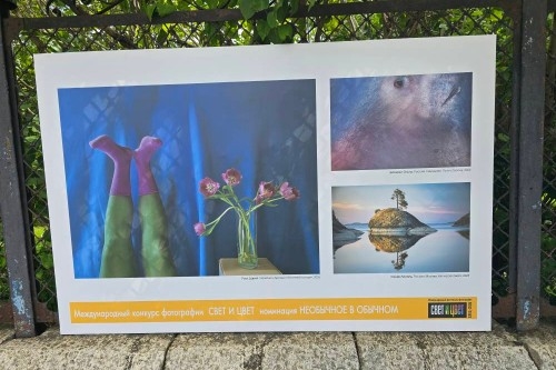 Фотограф из Одинцово стала дипломантом международного конкурса фотографии