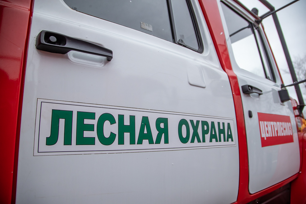 В Одинцовском округе 22 сентября ожидается III класс пожарной опасности