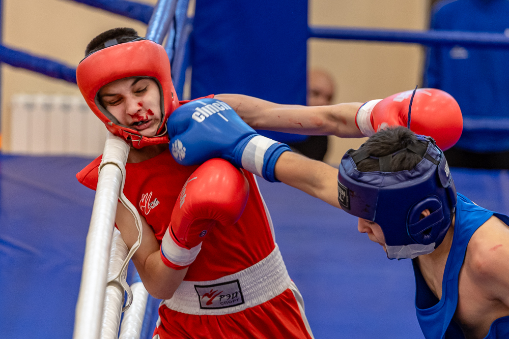 Соревнования по боксу памяти тренеров Одинцовского округа