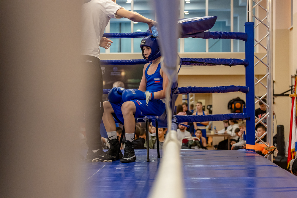 Соревнования по боксу памяти тренеров Одинцовского округа