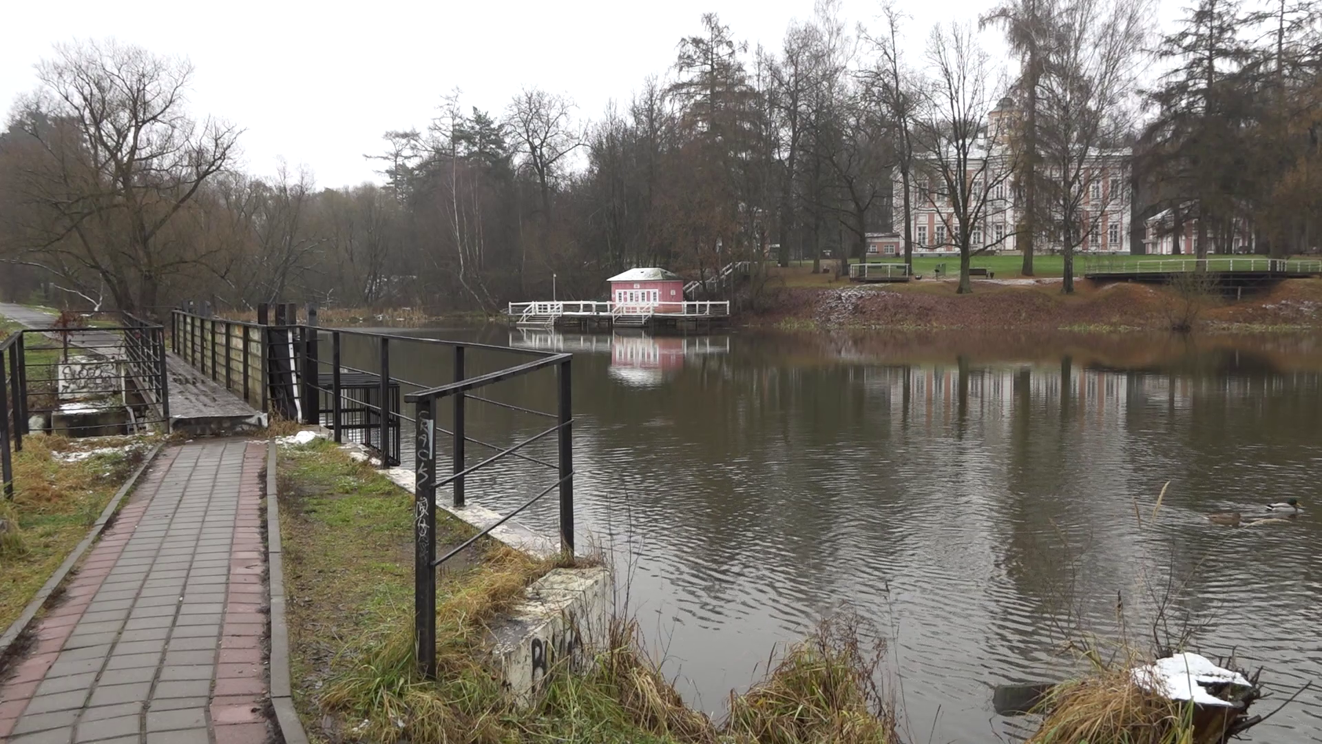 Голосуй за чистые пруды