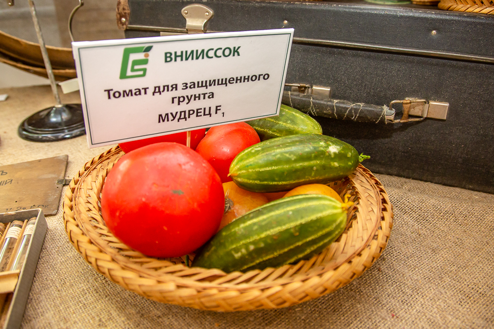 Федеральный научный центр овощеводства отмечает 105-летие