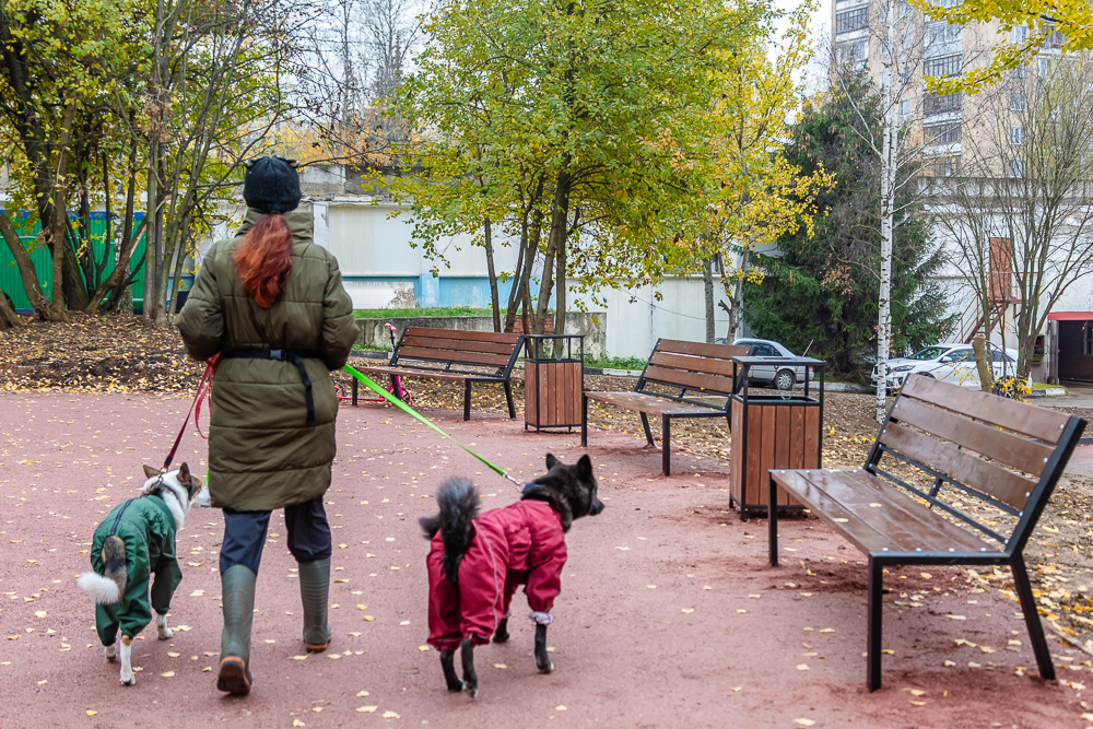 Комсомольский пруд в Одинцово после реконструкции