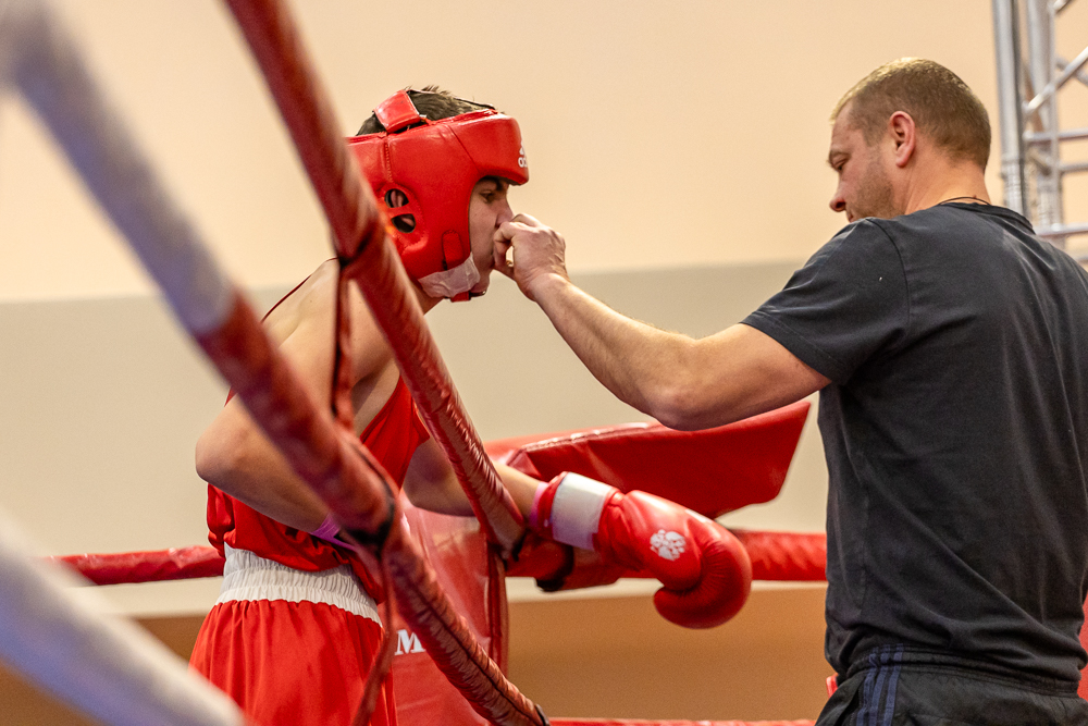 Соревнования по боксу памяти тренеров Одинцовского округа