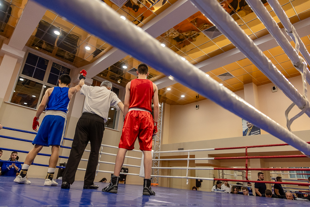 Соревнования по боксу памяти тренеров Одинцовского округа