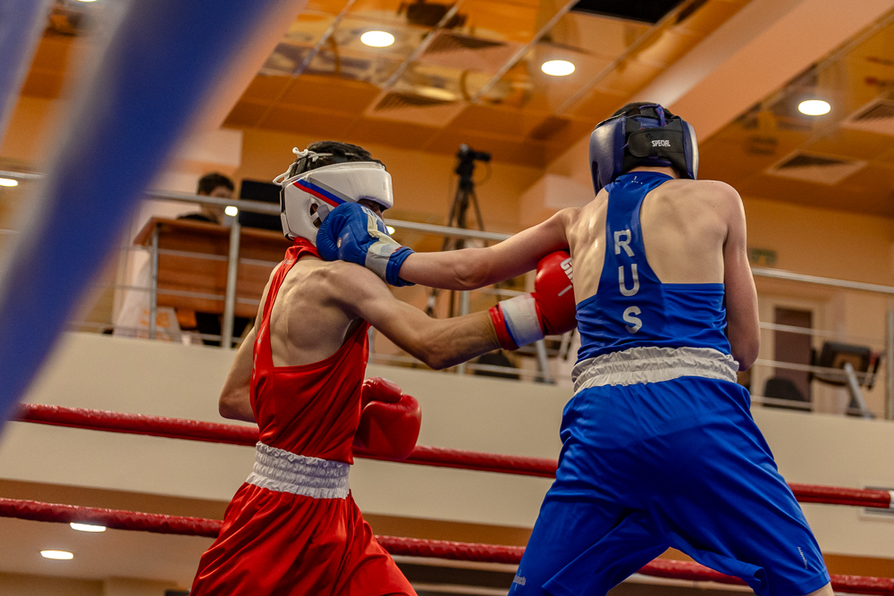 Соревнования по боксу памяти тренеров Одинцовского округа