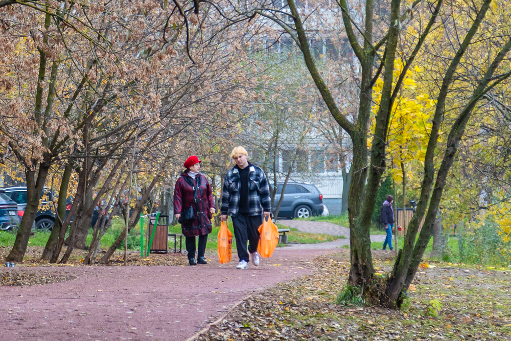 Комсомольский пруд в Одинцово после реконструкции