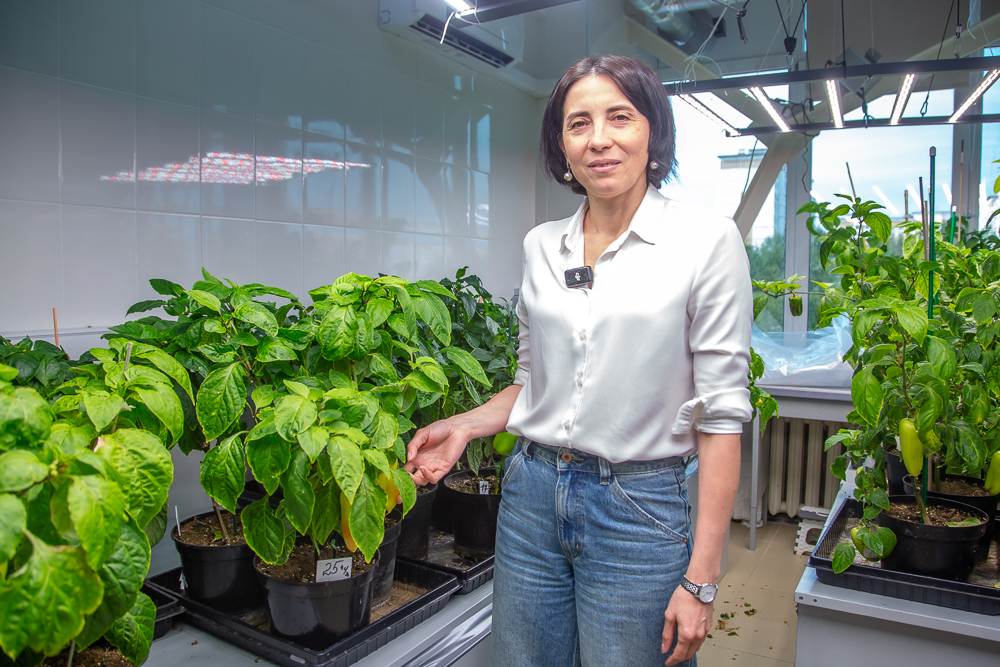 Федеральный научный центр овощеводства отмечает 105-летие