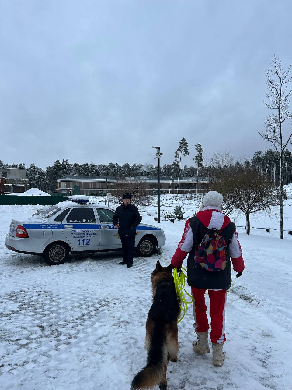 В Одинцовском округе усилен контроль за выгулом собак