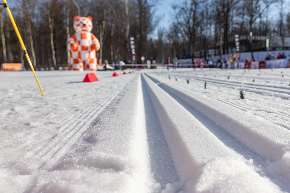Лыжная гонка на призы заслуженного тренера России Л.И. Воропаева в Одинцово