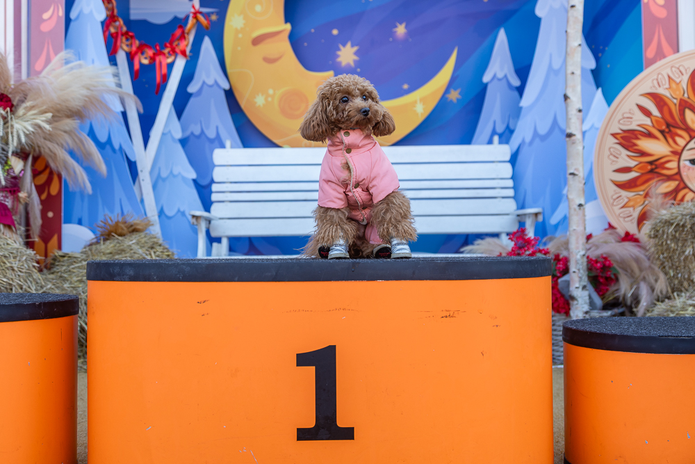 Лыжная гонка на призы заслуженного тренера России Л.И. Воропаева в Одинцово