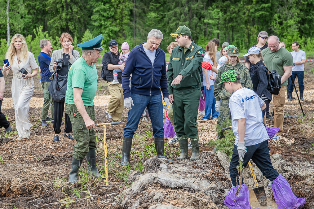 Экологическая акция «Удивительный лес» в Хлюпино