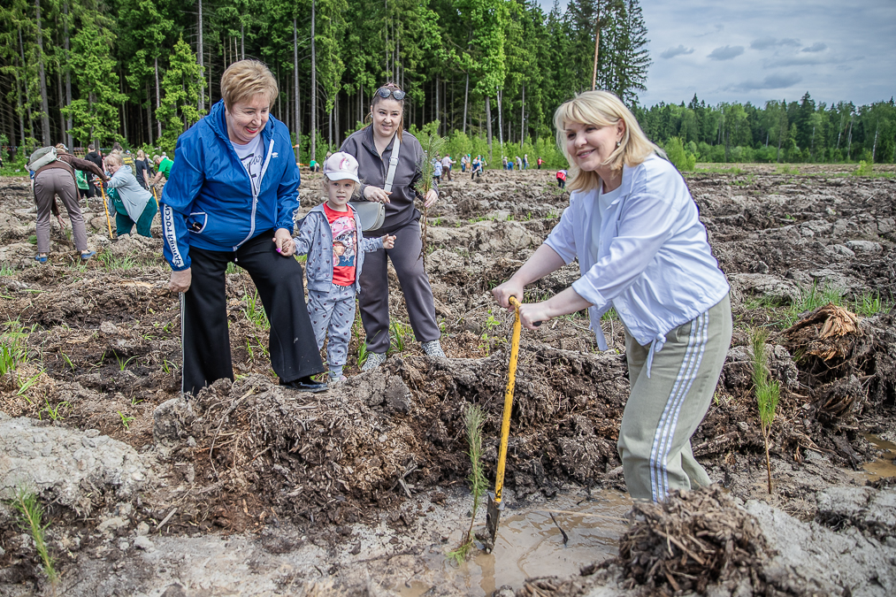 Экологическая акция «Удивительный лес» в Хлюпино