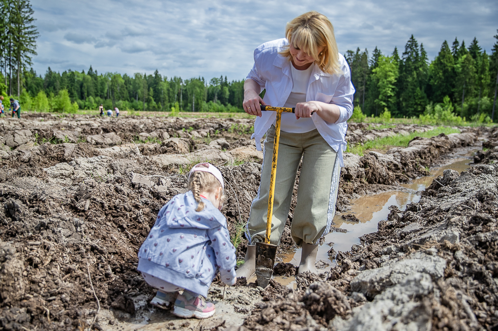 Экологическая акция «Удивительный лес» в Хлюпино