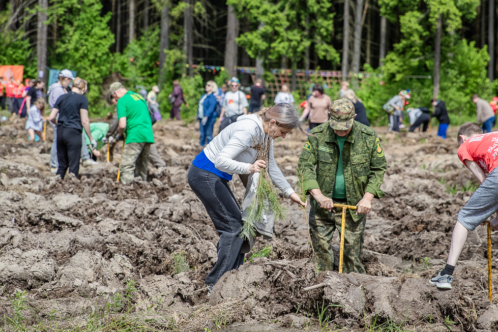 Экологическая акция «Удивительный лес» в Хлюпино