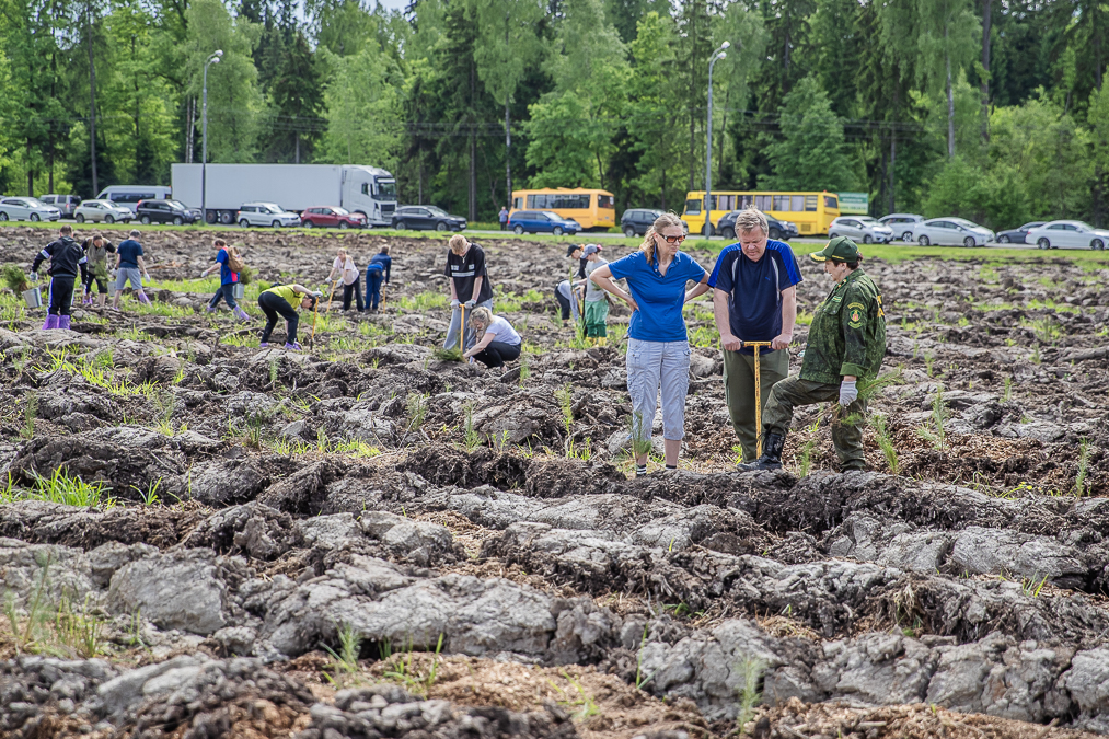 Экологическая акция «Удивительный лес» в Хлюпино