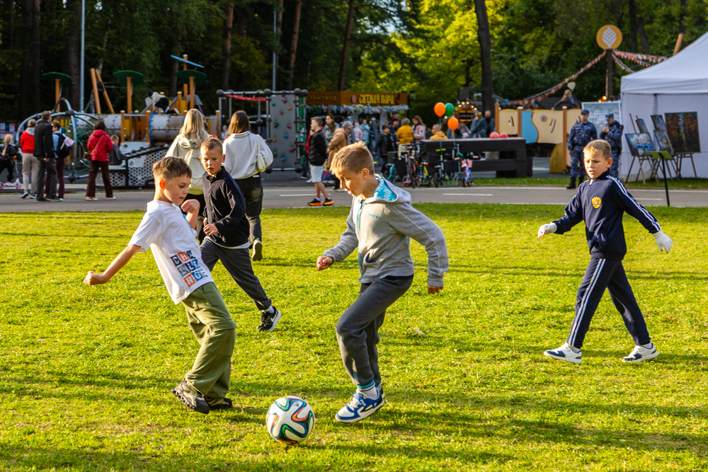 День города Одинцово - 2026