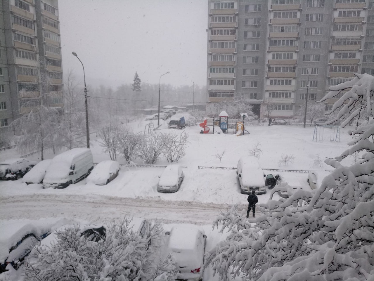 В Одинцово – снегопады, в Австралии – лесные пожары