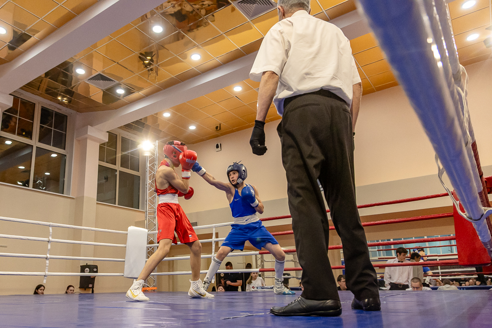 Соревнования по боксу памяти тренеров Одинцовского округа