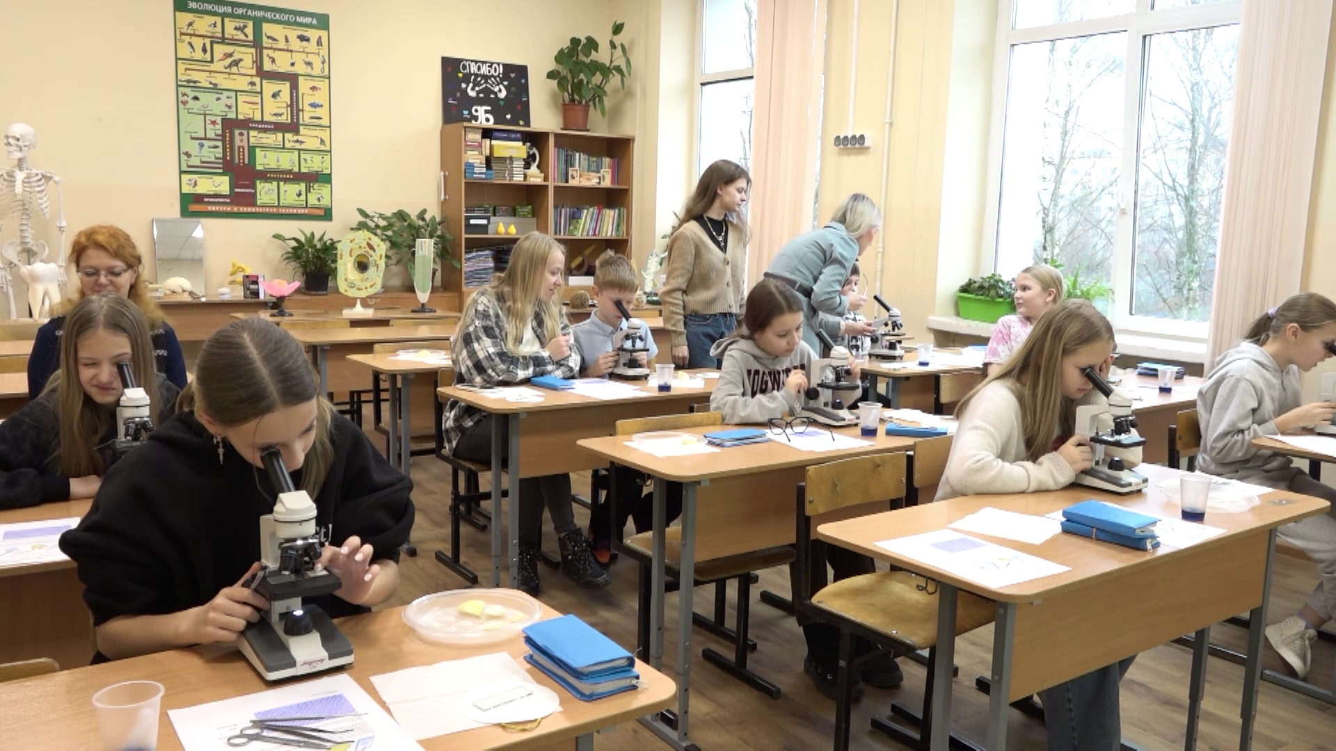 Эксперименты, квесты и открытия