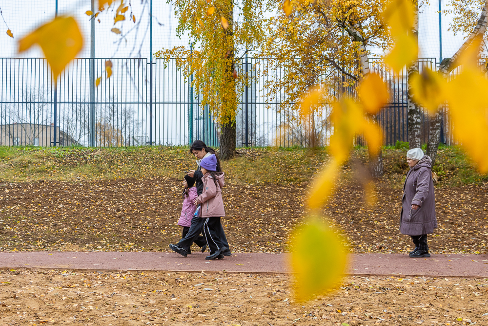 Комсомольский пруд в Одинцово после реконструкции