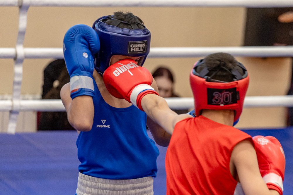 Соревнования по боксу памяти тренеров Одинцовского округа