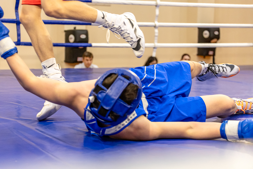 Соревнования по боксу памяти тренеров Одинцовского округа