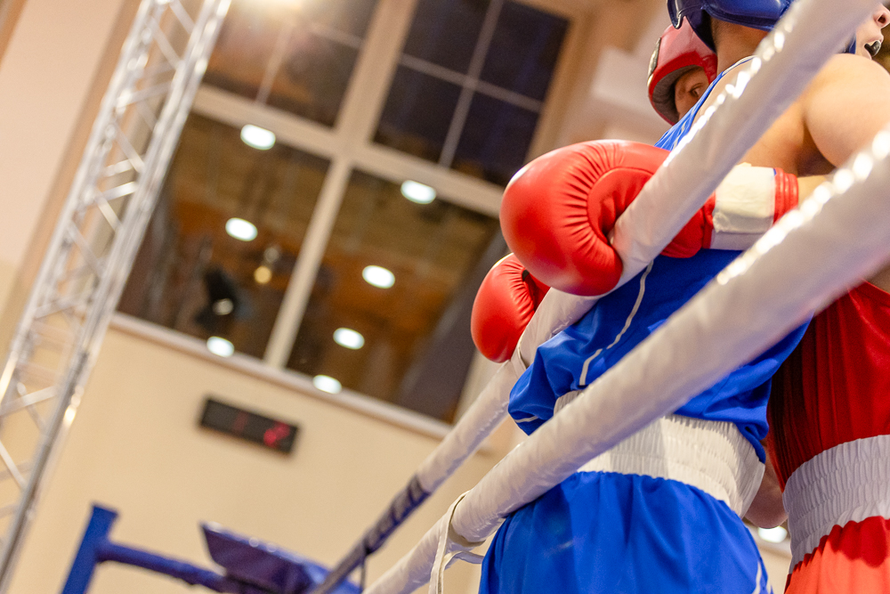 Соревнования по боксу памяти тренеров Одинцовского округа