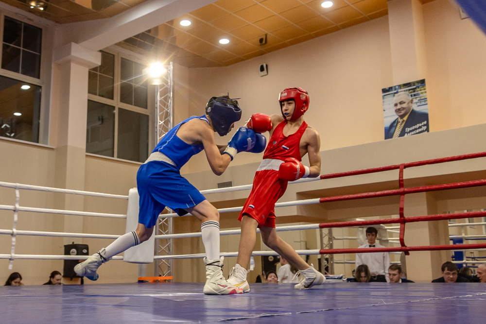 Соревнования по боксу памяти тренеров Одинцовского округа