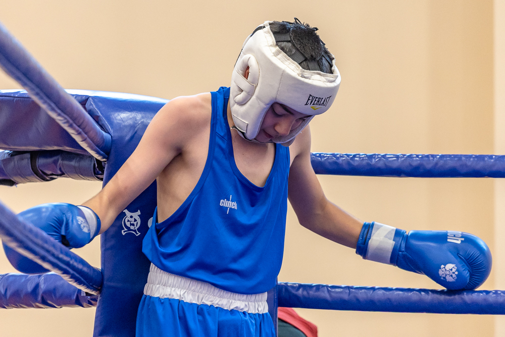 Соревнования по боксу памяти тренеров Одинцовского округа