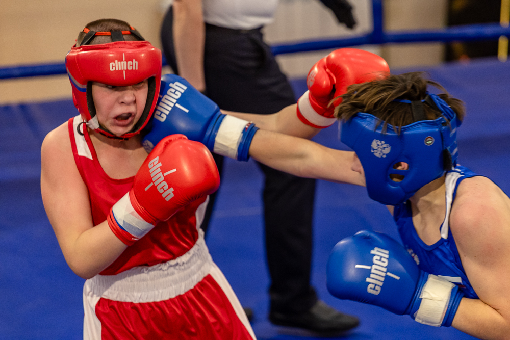 Соревнования по боксу памяти тренеров Одинцовского округа