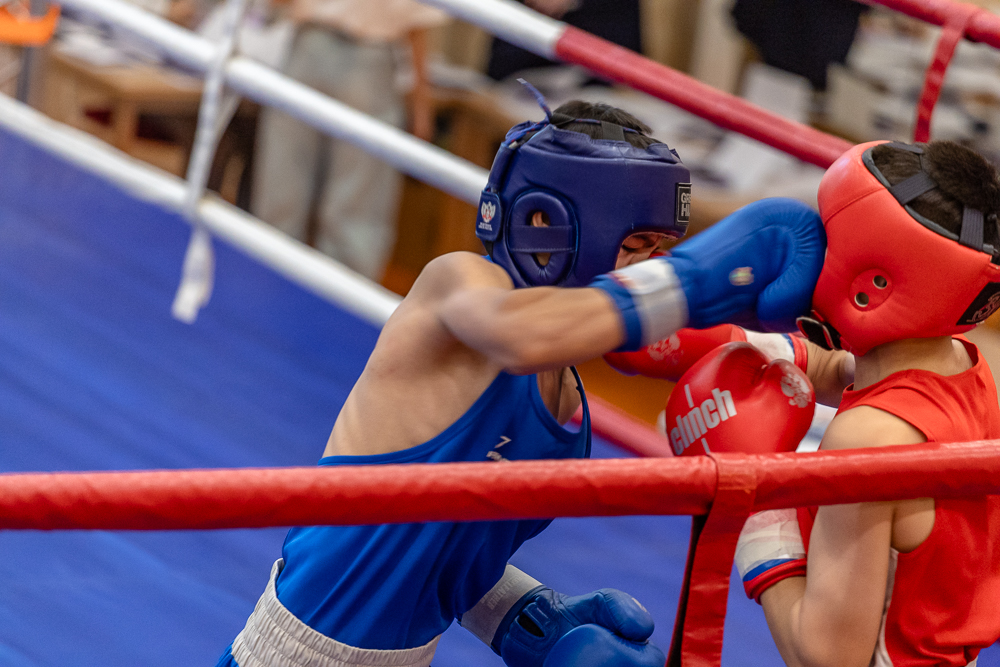 Соревнования по боксу памяти тренеров Одинцовского округа